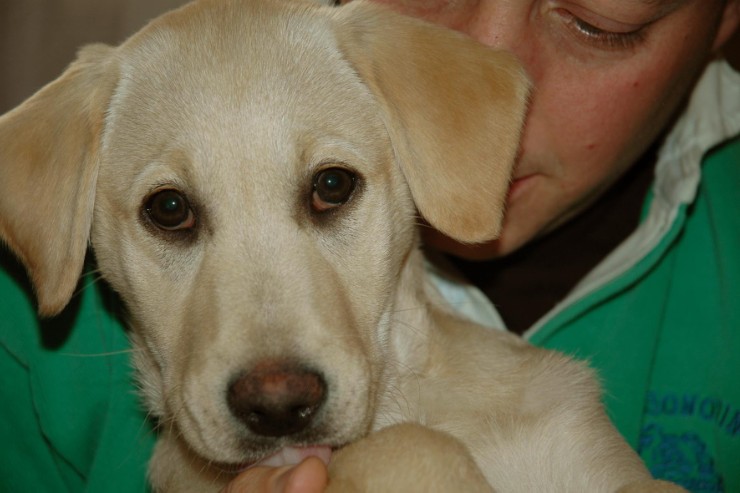 52David Ruby Close.JPG